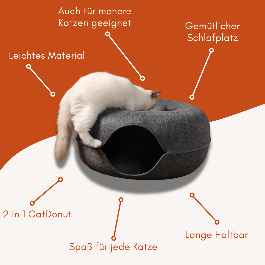 CatDonut