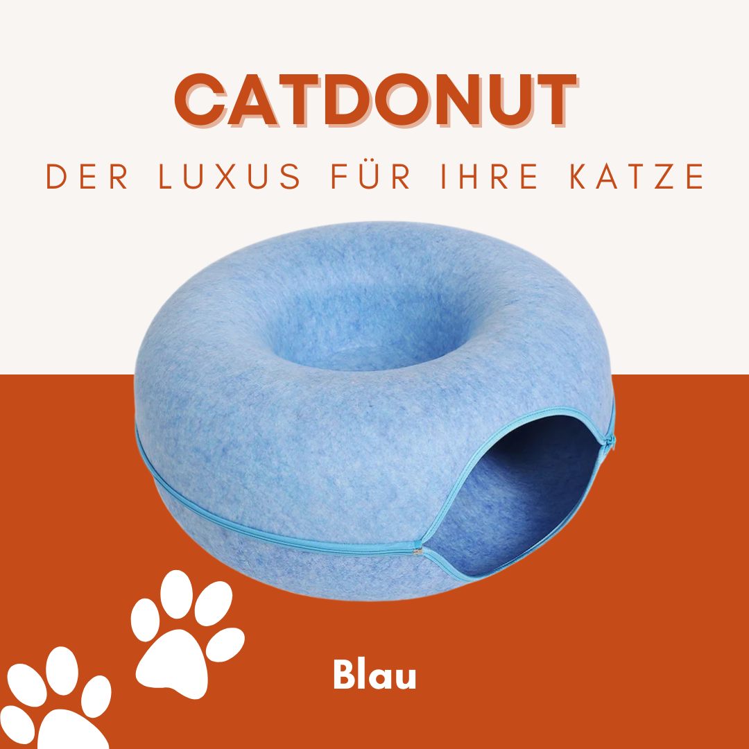 CatDonut