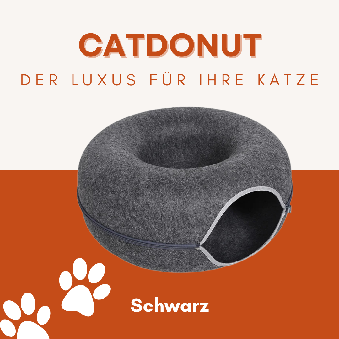 CatDonut