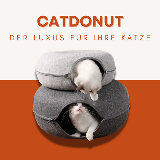 CatDonut